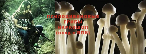 хмурый Куйбышев
