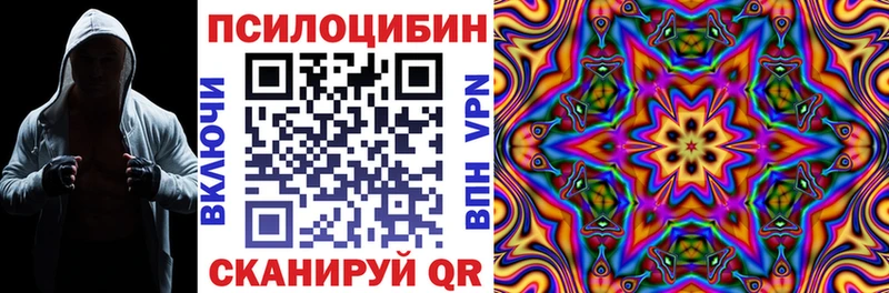 мега как войти  Смоленск  Псилоцибиновые грибы мухоморы 